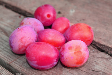 Während der Pflaumenernte