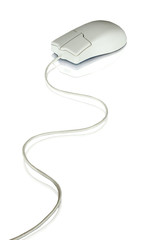computer mouse