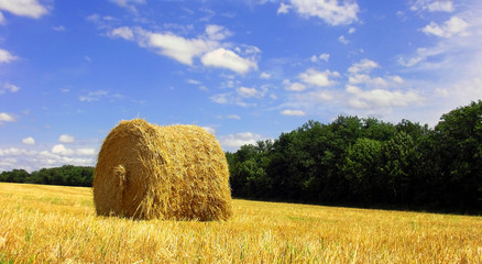 Ein Feld im Spätsommer nach der Ernte