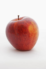 pomme royal gala