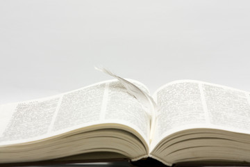 Feather on book