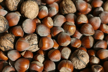 noix et noisettes