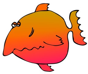 Cool Goldfish