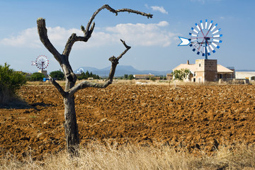 valley of windmills, Mallorca, red field in foreground