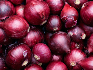 Harvested Red Onions in container
