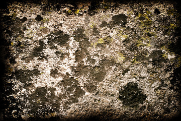 a background texture made from stone