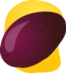 Sketch of whole fresh plum, fruit illustration