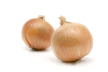 Onion