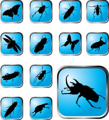 Set buttons. Insects