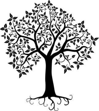 arbre