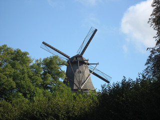 Un moulin au-dessus des arbres