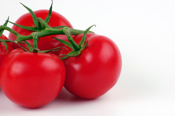 Tomaten