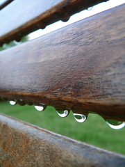 Drops on garden chair