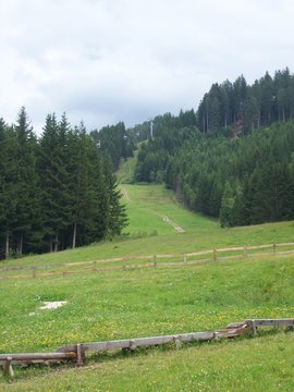 Cavalese, Trentino