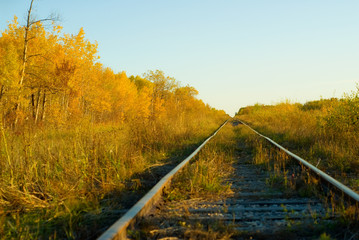 Fototapeta na wymiar A set of railroad tracks running across the countryside