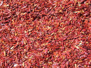 piment sec