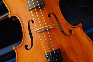 violon