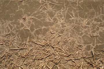 Brown background with dry grass
