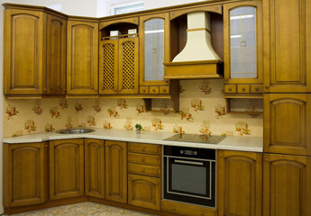 modern kitchen interior in the new home