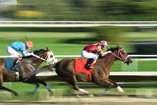 Two Racing Horses Competing With Each Other