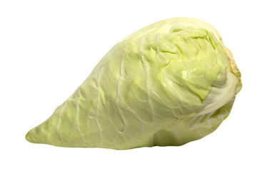 Frischer Spitzkohl
