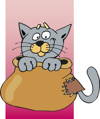 cat in bag