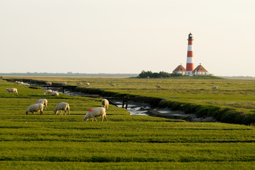 Westerhever
