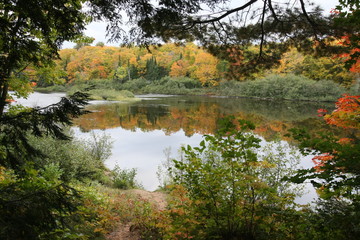 Fototapeta na wymiar fall color in michigan on lake river