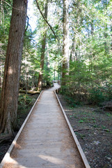 Obraz premium Shaded walkway