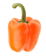 paprika