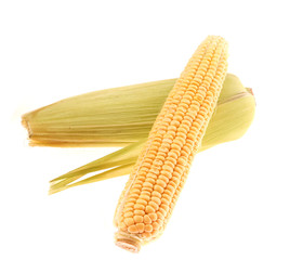 corn