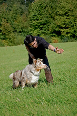 Hundetrainer