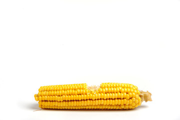 Close up of an eated corn on white background