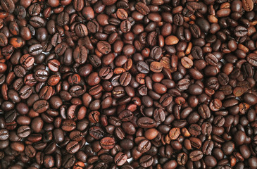 Close up of coffee beans - close up