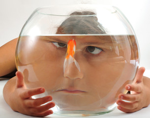 A little girl looking at goldfish in fishbowl
