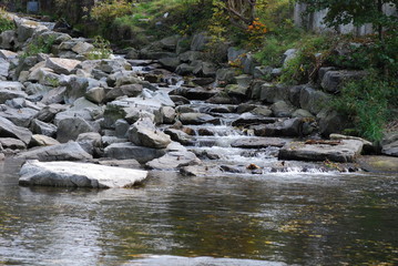 Fischtreppe