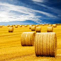 Amazing Golden Hay Bales on a perfect sunny day