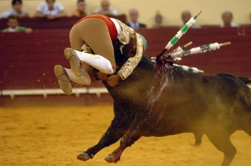 Fotobehang Stierenvechten stierengevecht