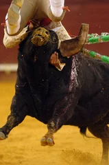 Foto op Plexiglas Stierenvechten stierengevecht