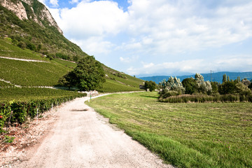 Chemin dans les champs en Savoie