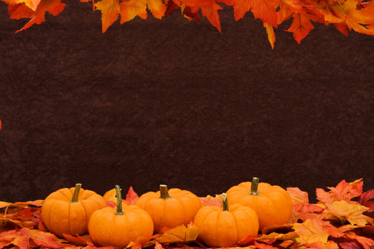 Fall leaves with pumpkin on brown background, fall harvest