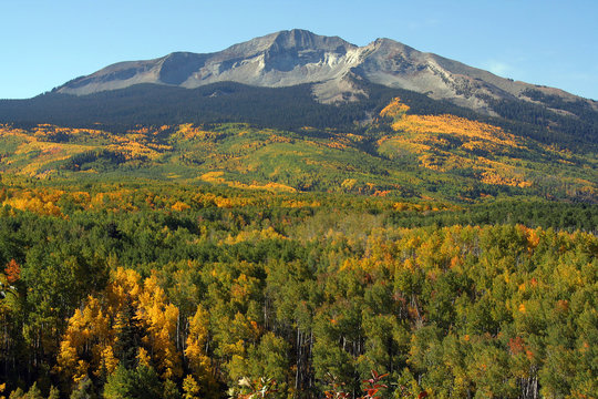 Fall Splendor on Kebler Pass