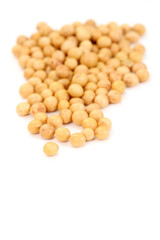close-ups of soybeans isolated on white