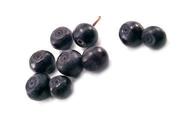 blueberry isolated on white background