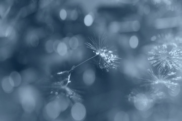 Winter holiday