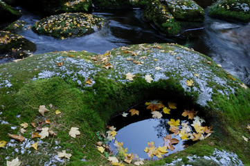 Steine, Laub, Wasser,