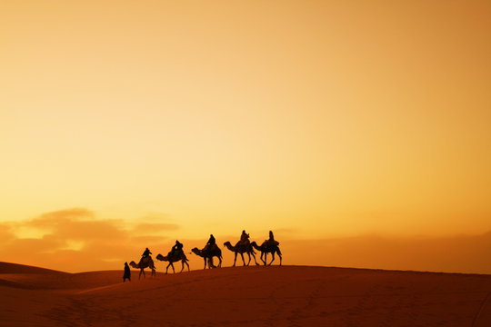 Caravan in Sahara desert