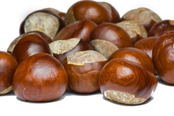 a few brown chestnuts are on a white background