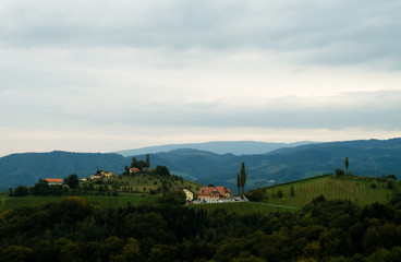 Landschaft S&uuml;dsteiermark Rebenland