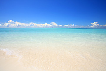 Exotic beach under a blue sky